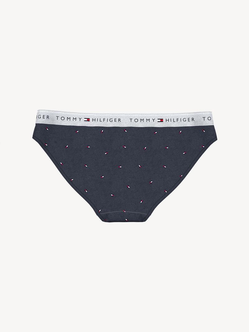 Női Tommy Hilfiger Essential Flag Logo Brief Bikinis Fekete | HU 541KOR